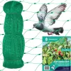 Anti-bird net Springos AB0001 5x50 m