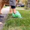 Пакеты для собачьих отходов, Springos PA0253, 360 шт., 20 рулонов, разноцветные
