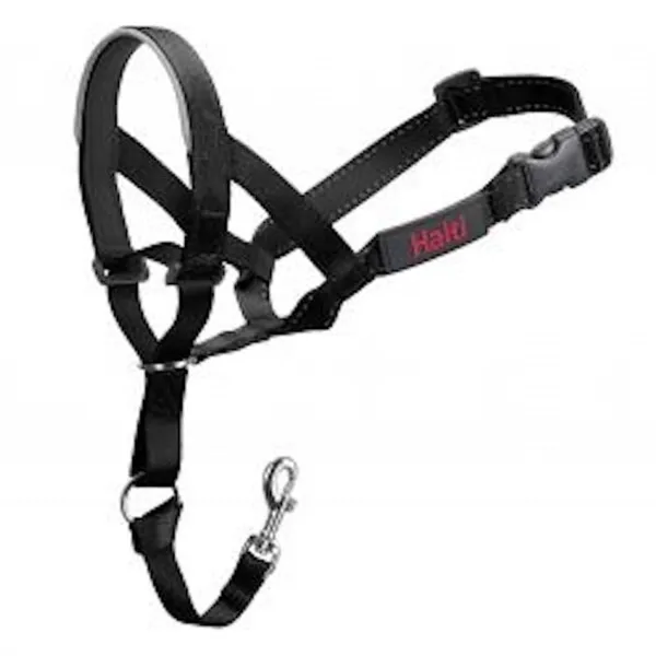 Dog Training Collars Company of Animals Halti Black Muzzle (46-62 cm)