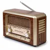 Kaasaskantav Bluetooth Raadio Kooltech Retro AM/FM