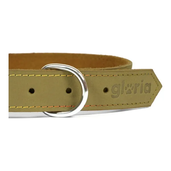 Costune accessorie