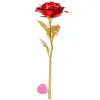 Mūžīgā roze Springos HA5158, 25 cm, LED gaismas dekors, sarkans zieds