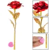 Mūžīgā roze Springos HA5158, 25 cm, LED gaismas dekors, sarkans zieds