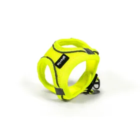Protective Case Blue