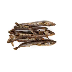 Mitrs ēdien Snackys Zivs 70 g