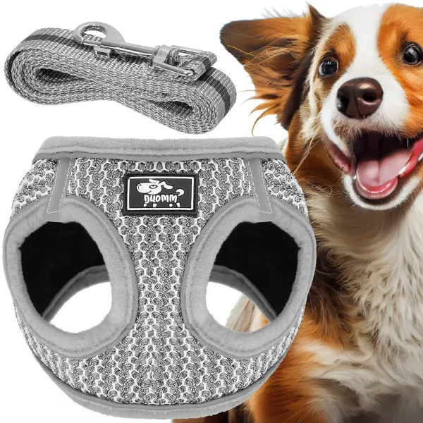 Pressure-free dog and cat harness set Springos PA0237, M 9-13 kg + 150 cm leash, grey