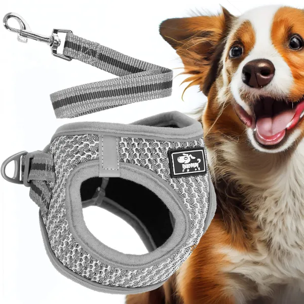 Pressure-free dog and cat harness set Springos PA0237, M 9-13 kg + 150 cm leash, grey