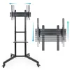 TV Mount TooQ FS1170M-B 50 kg