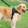 Reguliuojami šunų pakinktai Springos PA0304, dydis M, 19-35 kg, nespaudžiantys, juodi