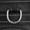 Reguliuojami šunų pakinktai Springos PA0304, dydis M, 19-35 kg, nespaudžiantys, juodi