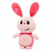 Plush Pet Moltó