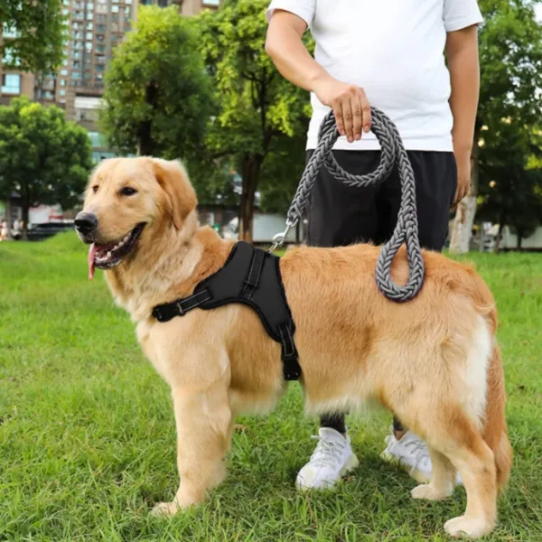 Reguliuojami šunų pakinktai Springos PA0305, dydis L, 36-55 kg, nespaudžiantys, juodi