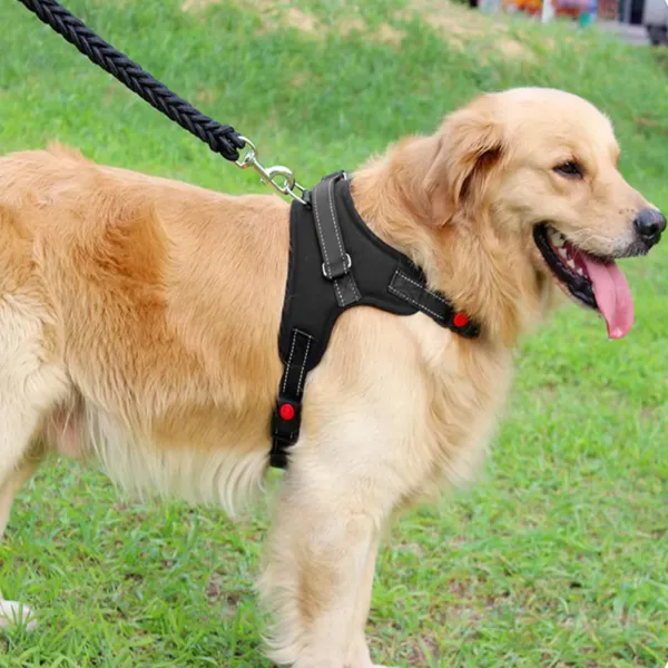 Reguliuojami šunų pakinktai Springos PA0305, dydis L, 36-55 kg, nespaudžiantys, juodi