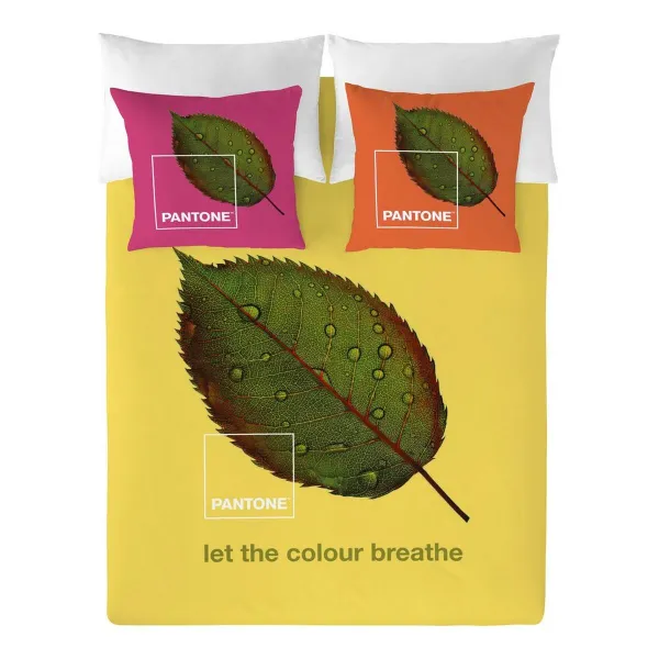 Tekikott Nature Pantone