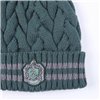 Hat Harry Potter