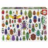 Puzzle Educa Beetles