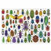 Puzzle Educa Beetles